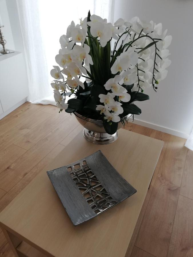 Appartement Pearl House à Aveiro Extérieur photo